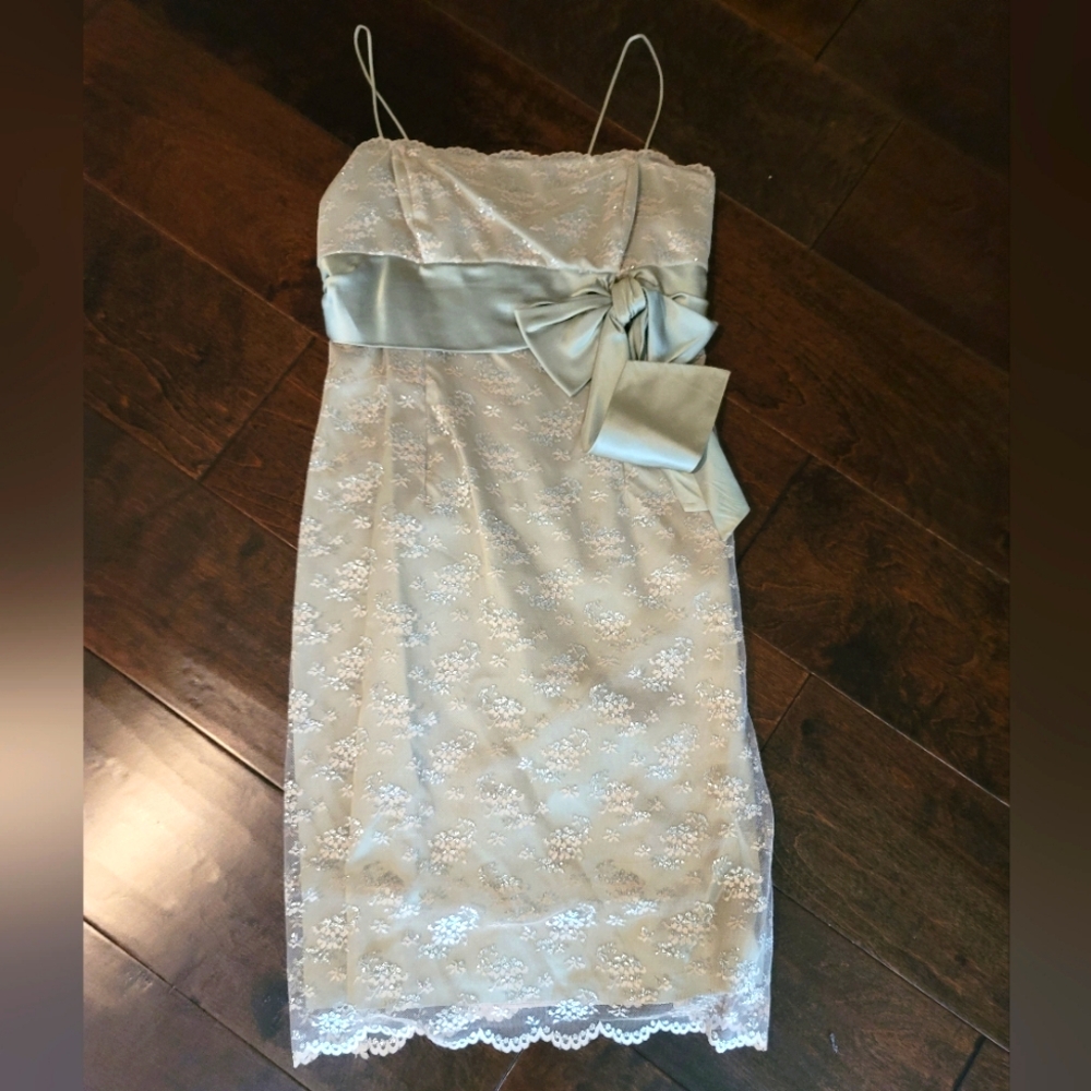 Night Way Collectiins Lace Dress